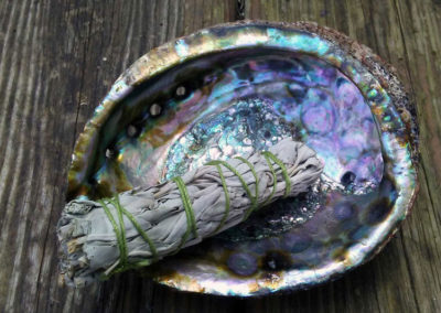 abalone_and-sage_horz